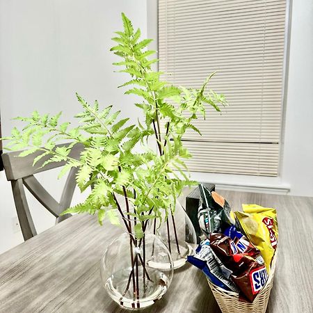 Cozy Evergreen Apartment By Newark Airport エクステリア 写真